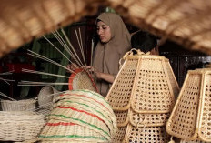 Industri Rotan Butuh Revitalisasi