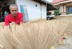 Orang Bengkulu Utara, Bidik Pasar Lidi Sate