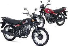Penerus Honda GL Pro! Honda TMX Supremo 150 Dirilis di Filipina Tampilan Klasik Dengan Teknologi Modern