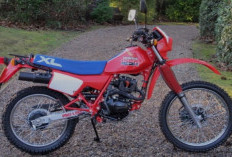 Fenomena Kolektor! Mengapa Harga Motor Trail Honda XL125 Era 70-an Setara Mobil Baru?