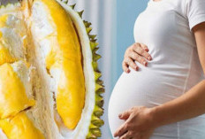 Bolehkah Ibu Hamil Makan Durian? Cek Fakta Apa Mitos