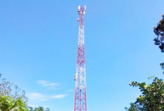 Tower BTS Suka Maju Disambar Petir, 3 Warga Laporkan Kerusakan Barang Elektronik
