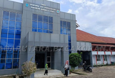 Tinggalkan Handphone Ayah Bunda, Temani Anakmu Di Waktu Ini 