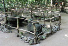 Mengulas Misteri Kerajaan Arcamanik, Peradaban Tersembunyi yang Ada di Bandung 