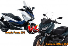 Duel Harga Skutik Bongsor 250cc Akhir Tahun, Mengapa Honda Forza 250 Jauh Lebih Mahal dari Yamaha XMax?