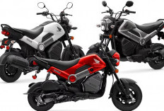 Harga Honda Navi 2025, Mini Bike Honda Sport Transmisi Matik? Cek Spesifikasi dan Tampilan Terbaru