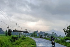 Irigasi Sawah Rusak, Butuh Pompanisasi? Lapor ke Kementan! Ini Nomornya