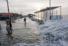 Masyarakat Pesisir Pantai Diminta Siaga dan Waspada Dampak Banjir Rob