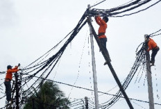 Kabel Semrawut dan Tak Standar, Pemdes Air Tenang Desak PLN Tambah Tiang Listrik