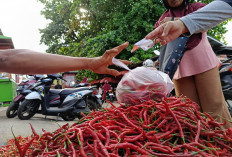 Operasi Pasar Mendesak? Beras Melangit, Cabe Semakin 'Pedas'