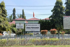 BBI Mukomuko Dorong Ekonomi Rakyat, Realisasi PAD Capai Setengah Target