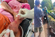 3 Warga Diserang HPR, Seekor Anjing Mati Ditembak 