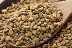 Temukan Berbagai Manfaat Yang Terkandung Pada Fenugreek Yang Jarang Diketahui