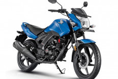 Penuhi Standar Emisi OBD2B, Honda Uncorn 2025 Muncul di Pasar India