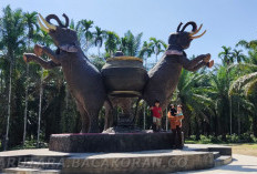 PLG Seblat Saksi Bisu Kerusakan Hutan dan Tantangan Pelestarian Gajah di Bengkulu