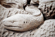 Misteri Belut Putih Raksasa di Waduk Darma Kuningan