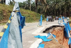 Jalan Nasional di Area Puding Mas Diterjang Longsor, Badan Jalan Amblas