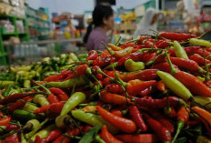 Jelang Nataru dan Ramadan, Ini Anatomi Inflasi di Bengkulu Bulan Oktober  