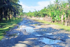 Perbaikan Jalan Poros Putri Hijau Jadi Prioritas Anggaran 2026