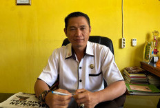 Dibagikan Mulai Maret, Tahun Ini DKP Bengkulu Utara Siapkan 80 Ribu Bibit Sayuran Gratis