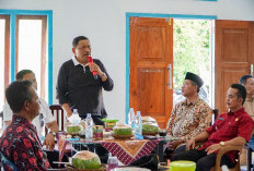 Dapat Jatah Rp 25 M, Enggano Disiapkan Jadi Lumbung Pangan