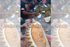 Potensi Ekonomi Durian Lokal Belum Terkelola Maksimal