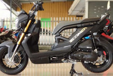 Mengenal Spesifikasi Honda Zoomer-X yang Siap Mengaspal di Indonesia 
