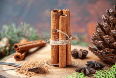 Harus Diwaspadai! Ini Dia Efek Samping dari Mengkonsumsi Kayu Manis untuk Kesehatan