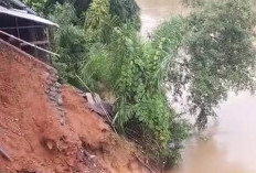 Tebing Sungai Manjunto Longsor Ancam Tiga Rumah Warga Lubuk Gedang