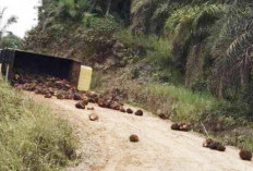 Kabarnya, Realisasi Pembangunan Tanjakan Ekstrim Gunung Payung Gagal?