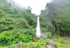 Selimut Alam Curug Cijalu, Antara Pesona dan Cerita Tua 