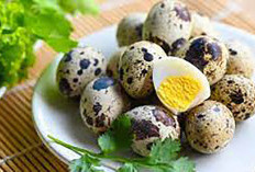Ini 12 Manfaat Telur Puyuh yang Tidak Terduga Bagi Kesehatan Tubuh