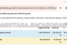Serapan APBD 10 Provinsi Disorot Mendagri, Segini Realisasi Transfer ke Daerah oleh Pemerintah 