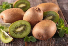 Benarkah Kulit Kiwi Bisa Bantu Berikan Serat Tambahan? Simak Penjelasan Berikut!