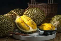 Hati-hati! Ternyata Ini Dampak yang Bisa Dirasakan Tubuh Apabila Mengkonsumsi Durian Secara Berlebihan!