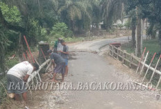 Jembatan Rusak Parah, Warga Pasang Pohon Pinang sebagai Pengaman Darurat