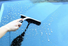 Waspada Jamur di Kaca Mobil, Segera Cuci Mobil Setelah Kehujanan