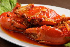 Temukan Berbagai Manfaat Mengkonsumsi Kepiting Untuk Kesehatan Tubuh Kita