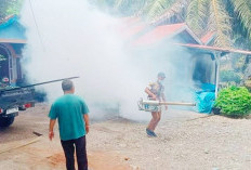 Musim Hujan, Dinkes Mukomuko Ingatkan Ancaman DBD