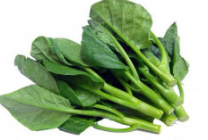 Ini Dia 8 Manfaat Kesehatan dari Mengkonsumsi Daun Kailan untuk Tubuh