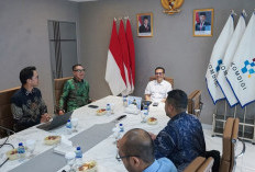 Pemerintah Dorong Industri Nasional Masuk Rantai Pasok Semikonduktor Global