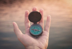 Tersesat Dalam Mimpi Pertanda Apa? 'The Everything Law of Attraction Dream Dictionary', Begini Tafsirnya 