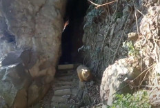 Persembunyian Para Pejuang, Ternyata Ini Alasan Sejarah di Balik Mitos Situs Liang Maung