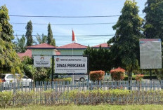 Mukomuko Serius Garap Sentra Perikanan Air Tawar