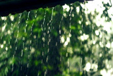 Apa Arti Mimpi Hujan Deras? Dua Kajian Spiritual di Indonesia, Memiliki Tafsir yang Nyaris Sama 