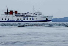 Transportasi Laut, Solusi Efektif Hubungkan Pulau-Pulau Indonesia