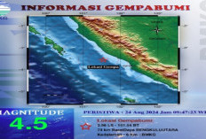 BREAKING NEWS! Gempa Dangkal 4,5 SR Guncang Bengkulu Utara 