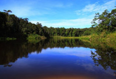 Keheningan Bukit Rano yang Diselimuti Misteri