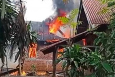 Ditinggal ke Bengkel, Rumah Warga di Taba Baru Ludes Dilalap Api