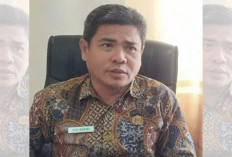 BPBD Imbau Nelayan Waspada, Gelombang Tinggi Ancam Perairan Mukomuko Hingga Awal Oktober